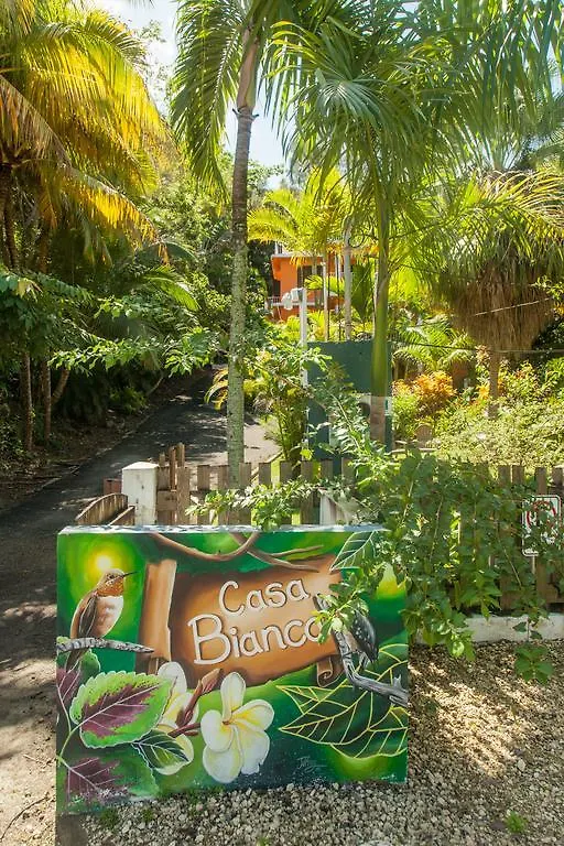 *** 招待所 林康 Casa Bianca酒店 波多黎各
